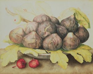 Figues
